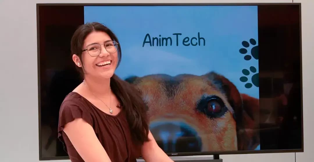 Captura 1 de AnimTech