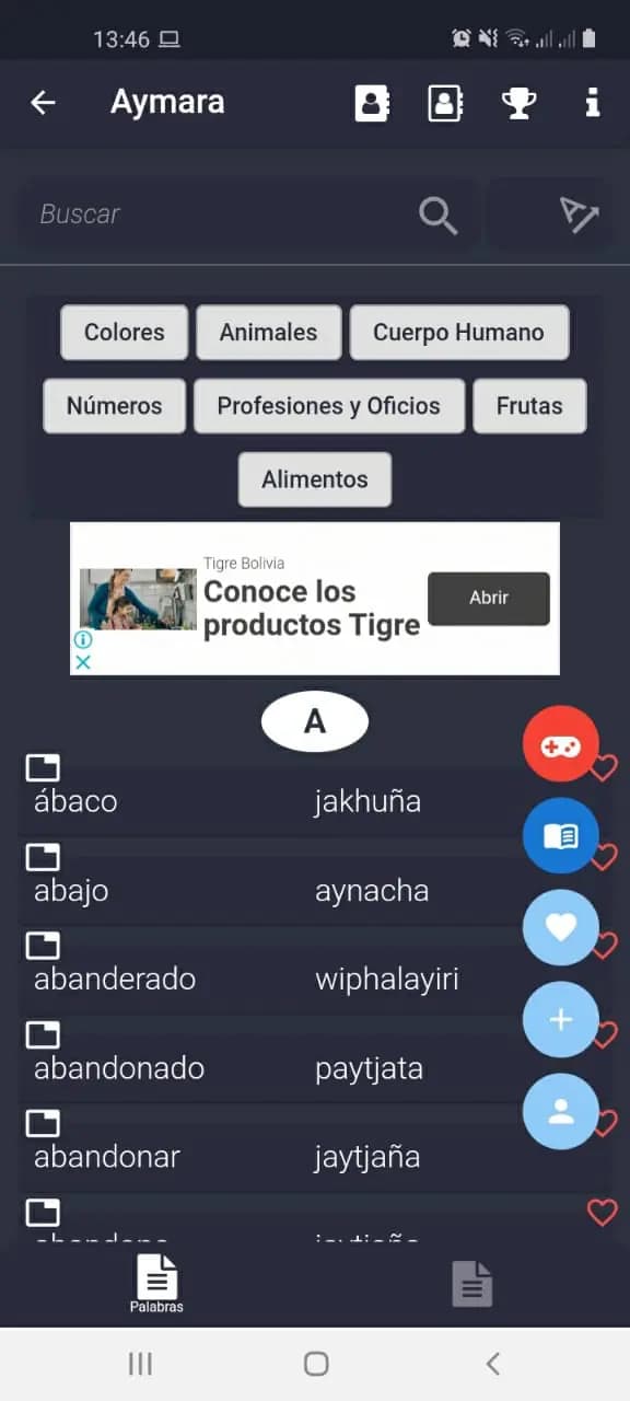 Captura 1 de Diccionario Aymara (Mingatics)