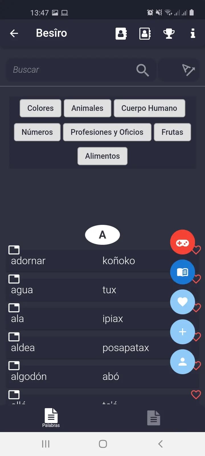 Captura 1 de Diccionario Besiro