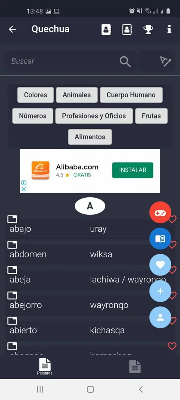 Captura 1 de Diccionario Quechua (Mingatics)